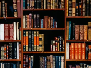 Bound legal volumes ranged along a shelf